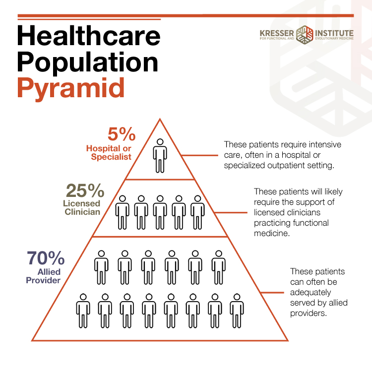 healthcare pyramid